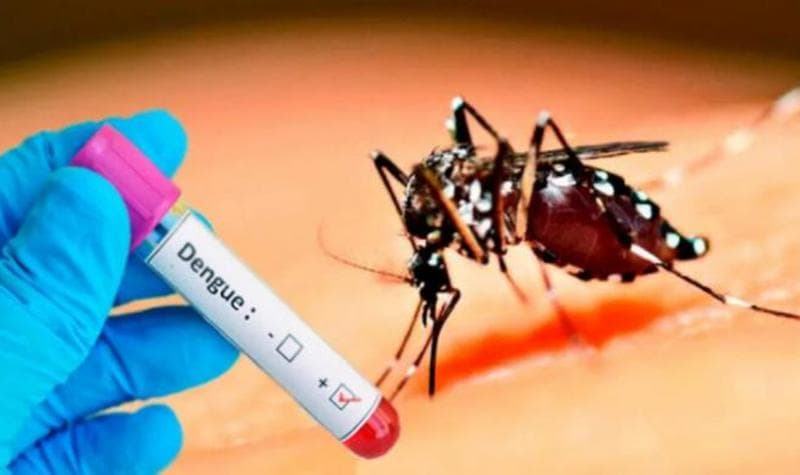 Cuba en alerta por aumento de arbovirosis y otras infecciones