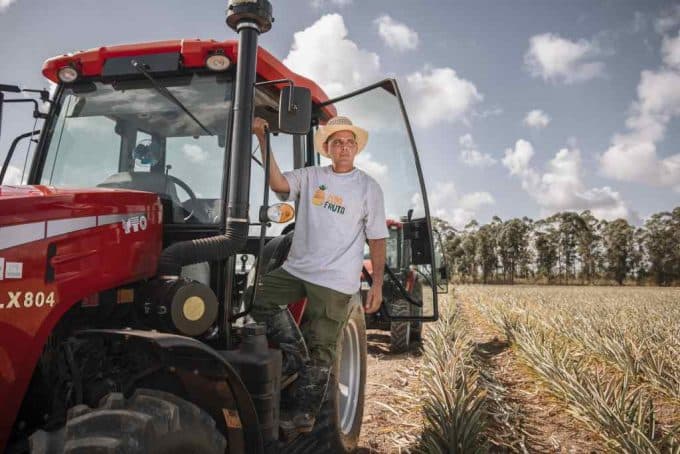 Italia impulsa la producción de piña y aguacate en Cuba: beneficio limitado para cooperativas