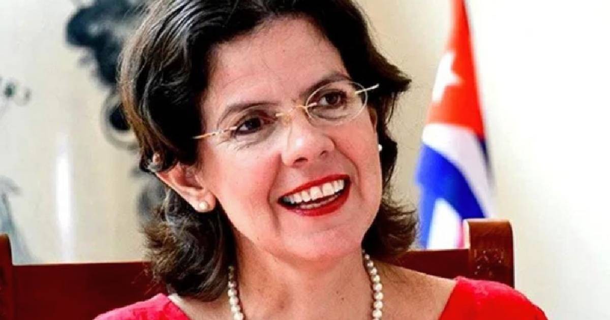 Embajadora del régimen: cubanos protestan mientras defienden la patria