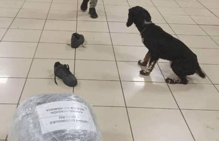 Aduana cubana frustra intento de introducir cocaína en el Aeropuerto José Martí
