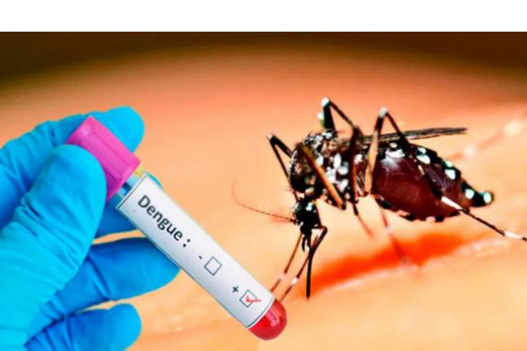 Arbovirosis en Cuba: el dengue acecha mientras el sistema de salud colapsa