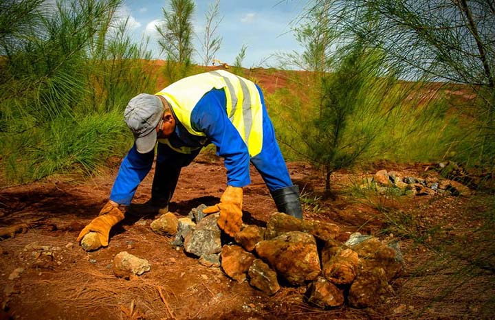 Holguín enfrenta desforestación: el régimen potencia protección de bosques