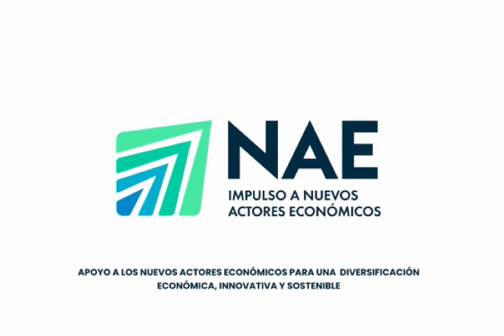 Proyecto NAE