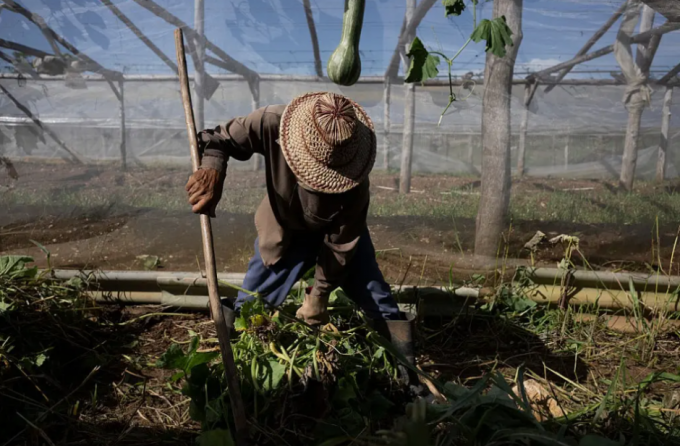 Estados Unidos intensifica sanciones a Cuba: el impacto en la agricultura y la alimentación del pueblo