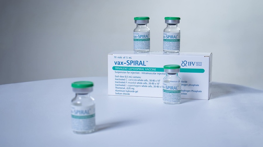 Cuenta Cuba con vacuna de gran impacto contra la leptospirosis