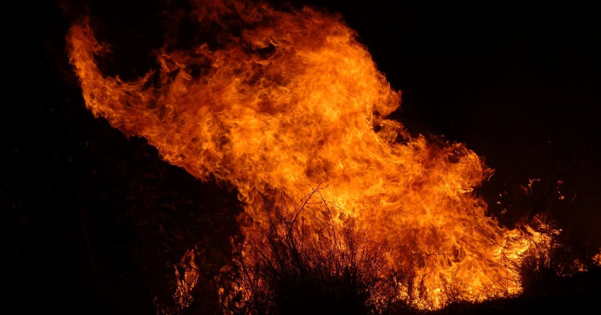 Incendio arrasa 35 hectáreas de bosque protegido en La Palma