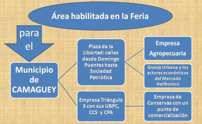 Actividades en Camagüey por centenario de Fidel Castro: propaganda en tiempos de crisis