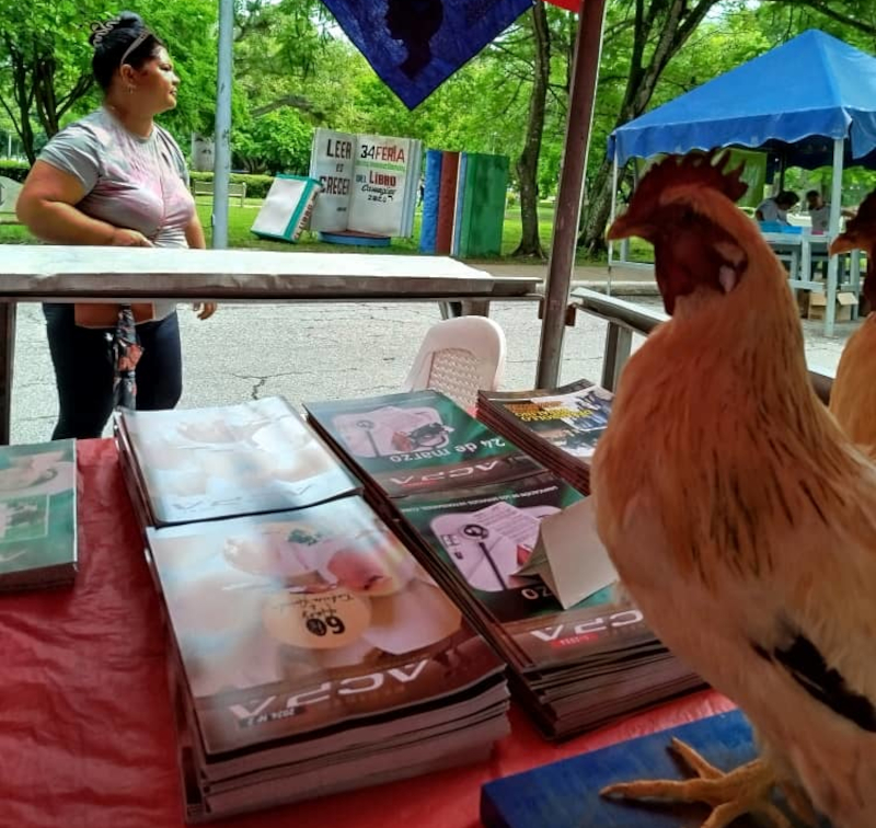 Granma acoge la Feria Internacional del Libro del 4 al 6 de septiembre de 2026